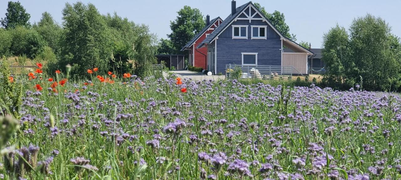 Ramlejowe Wzgorze - Sauna-Balia Ostrzyce Exterior foto